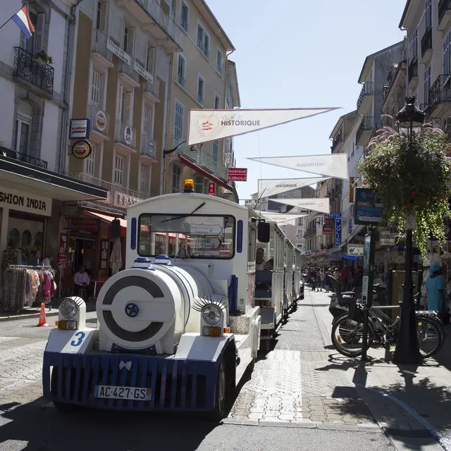 Petit train touristique 1_BD©P.Vincent-OT Lourdes_2016