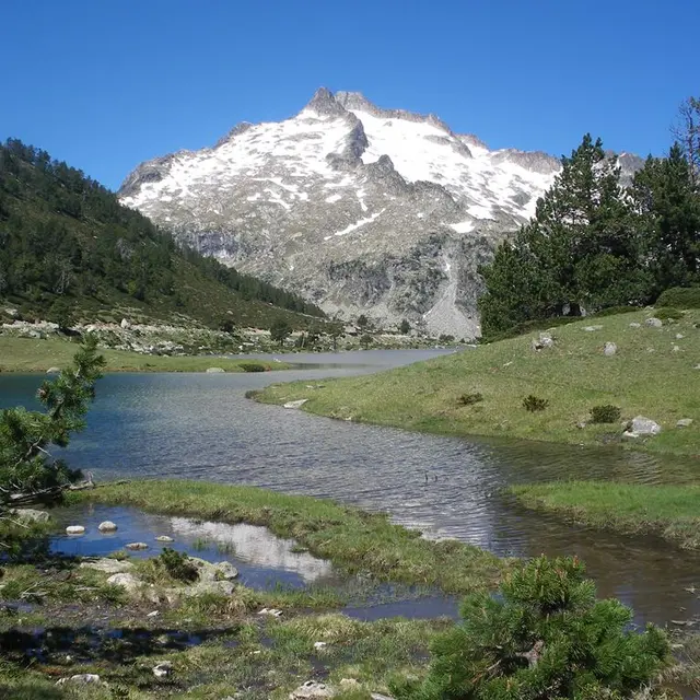 RESERVE NEOUVIELLE WEB