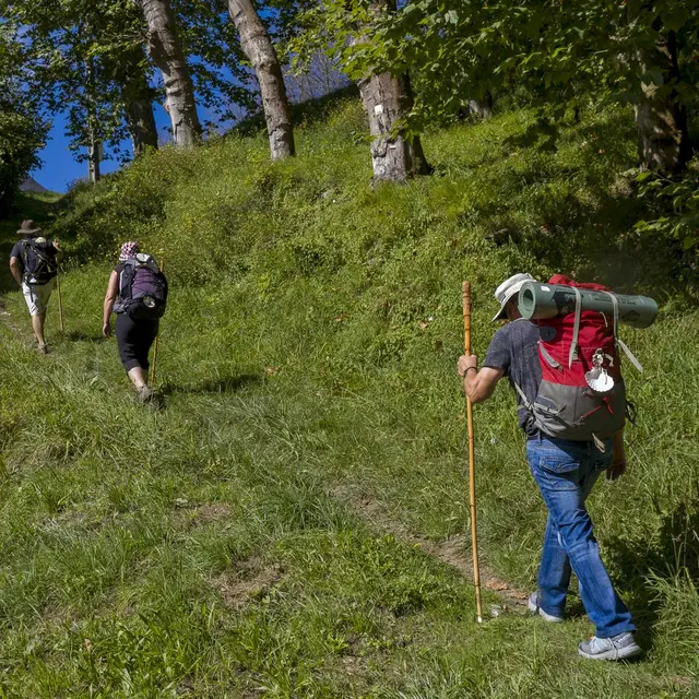 Randonneurs St Jacques_BD©P. Vincent-OT Lourdes_2014