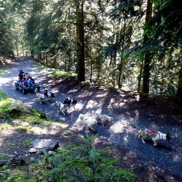 Rando-Aventure en kart - Le Repaire des Huskys