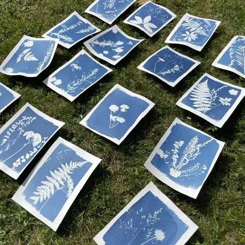 Rndo Cyanotype 4
