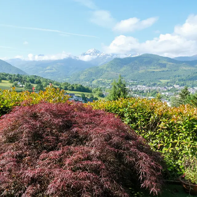 VUE DE JOUR