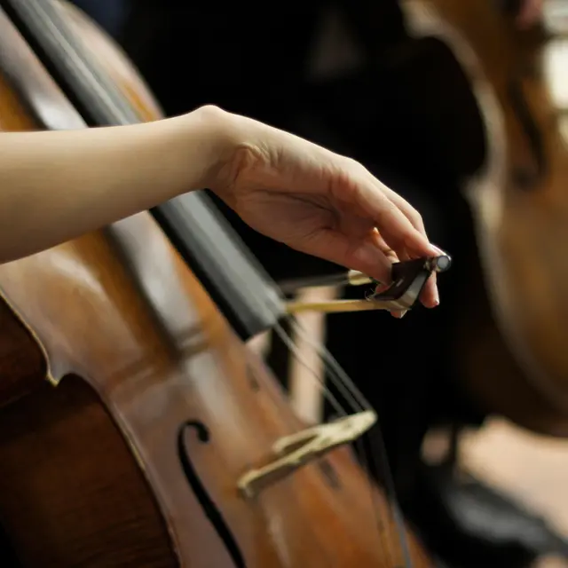 Violoncelle main © Burcu Koleli on Pexels