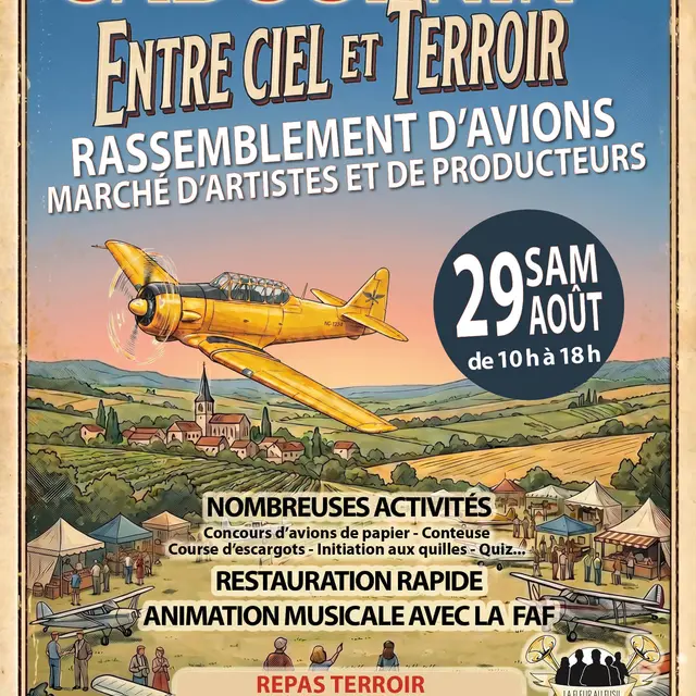 avion sadournin affiche sans jeux