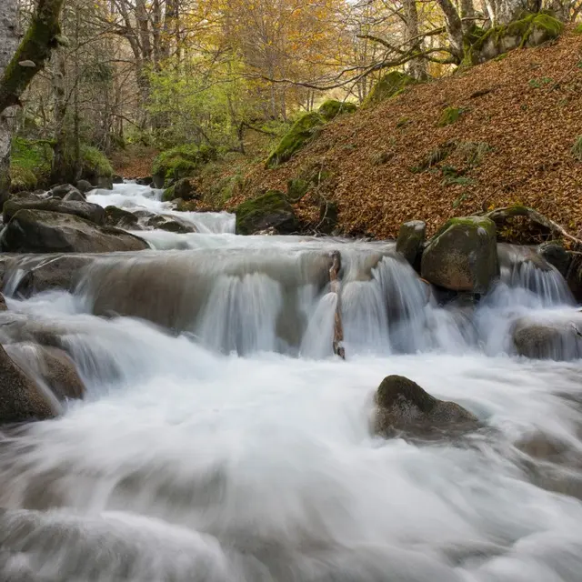 cours d'eau