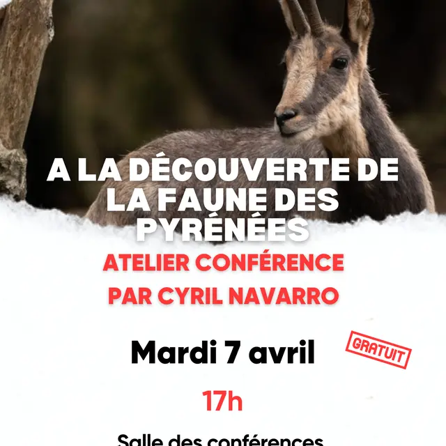 Animations Printemps OT - jeux bois