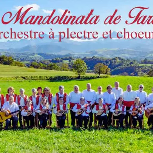 mandolinata-tarbes