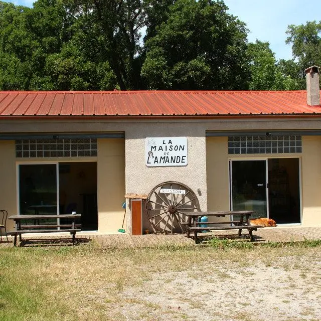 464197999_8627052927381122_2535263063642140015_n