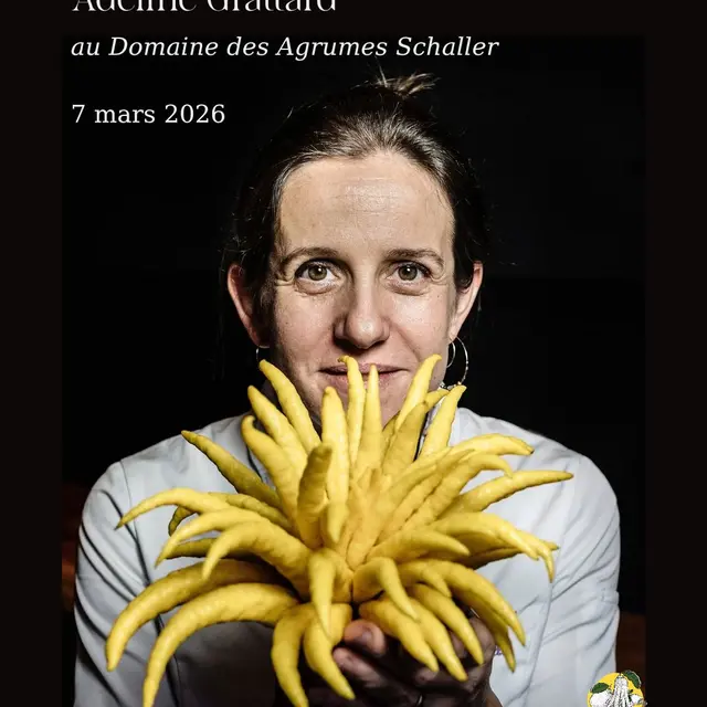 622822279_1818154839117907_9021059082826955436_n