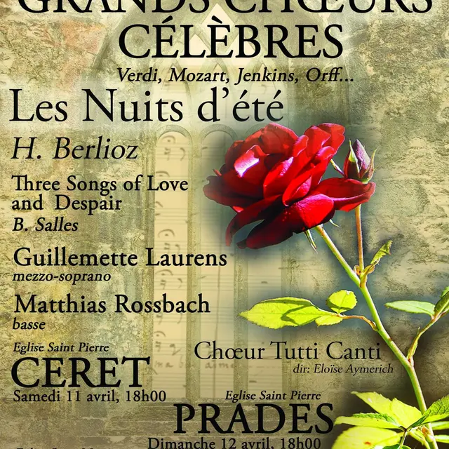 Concert de l’orchestre OSAR organisé par les Amis d’Alain Marinaro