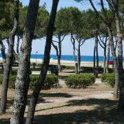 Argelès-Plage_1