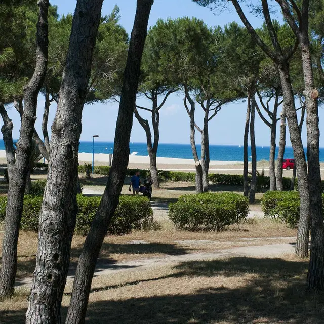 Argelès-Plage_2
