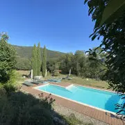 Les Deux Sources - Agapanthe_1