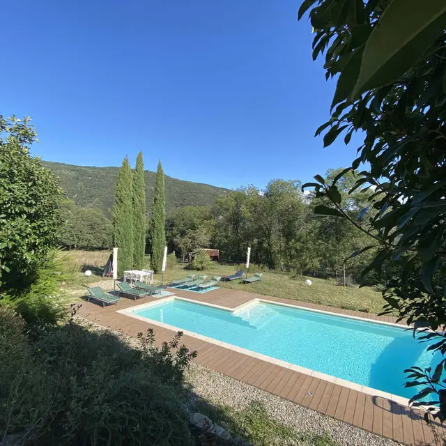 Les Deux Sources - Agapanthe_2