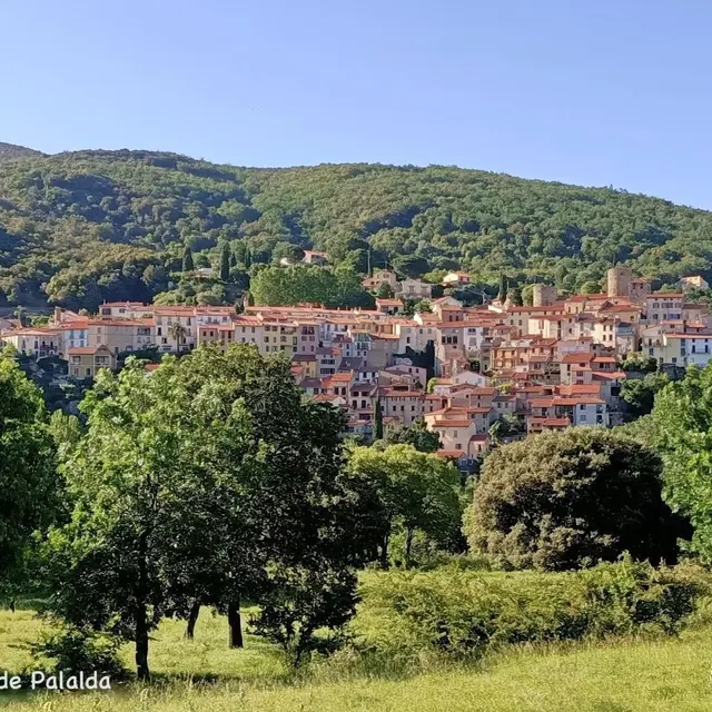 Chez Suzanne- Appartement Vallespir_2