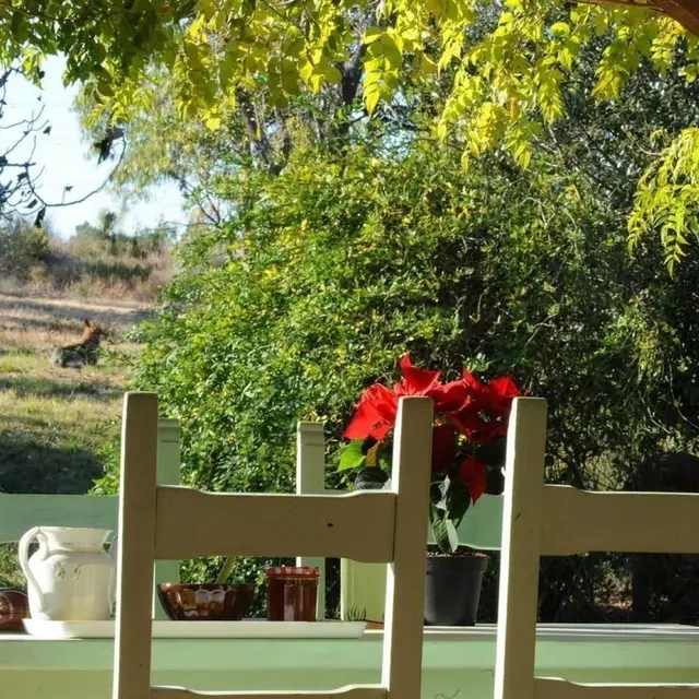 Mas d en costeseque_2