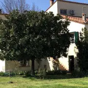 Les cueilleurs de cerises_1