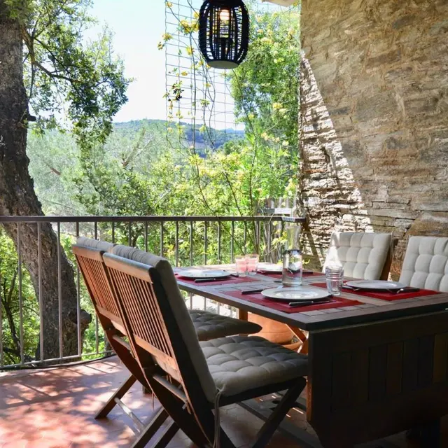 Les Mimosas de Collioure_2