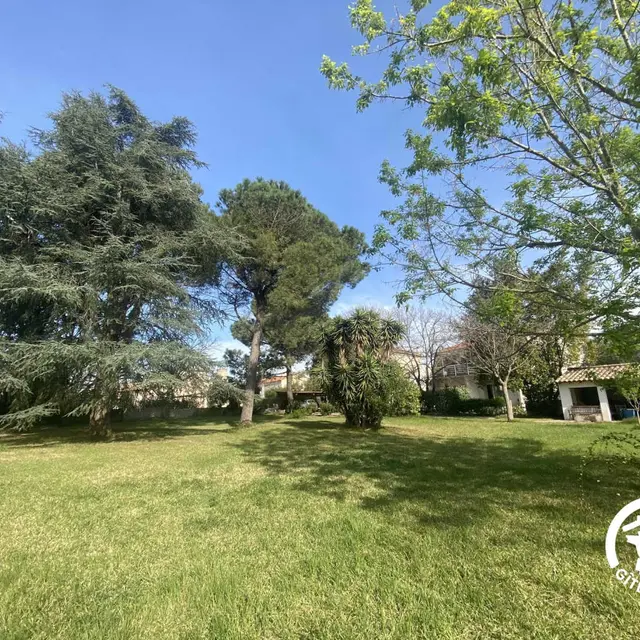 Le Cèdre du Parc de la Dame_3