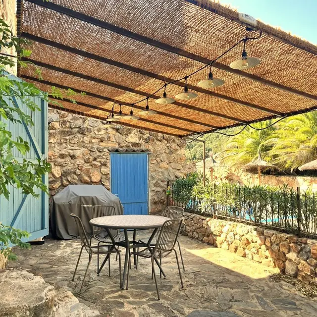 Campsis  au Mas Picagnol_2