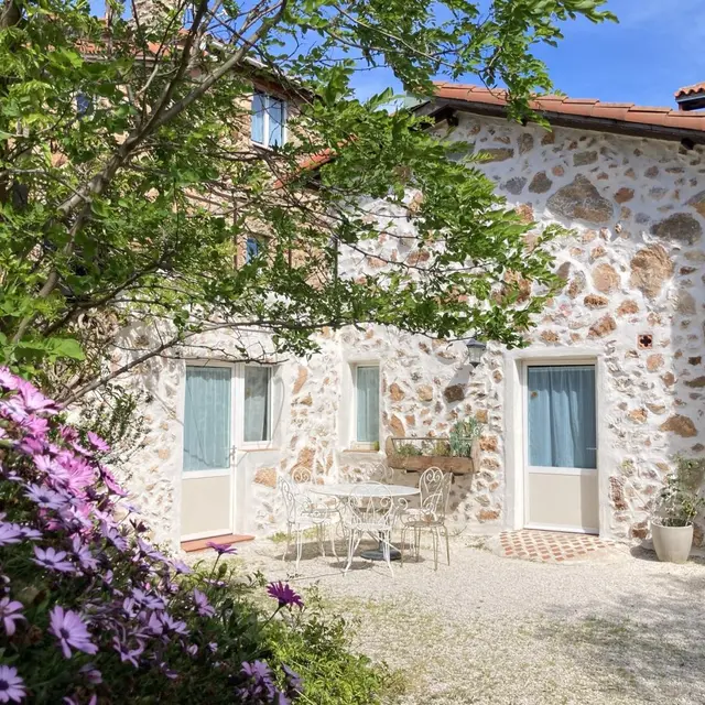 Wisteria au Mas Picagnol_2