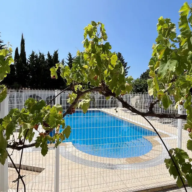 Mas des Palmiers - Gîte Albères_2