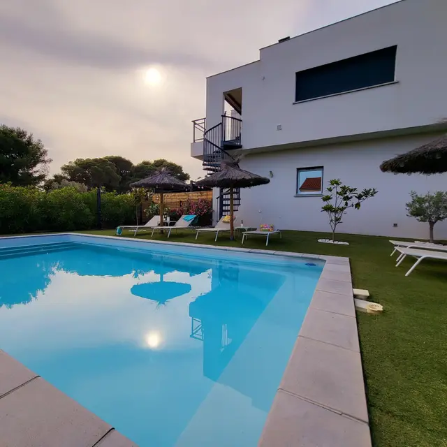 Les flamants roses_3