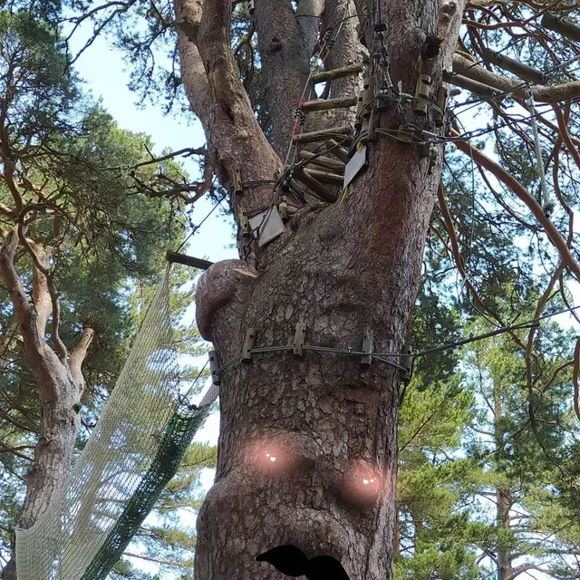 96084651_3128972180488634_6966252700015001600_o