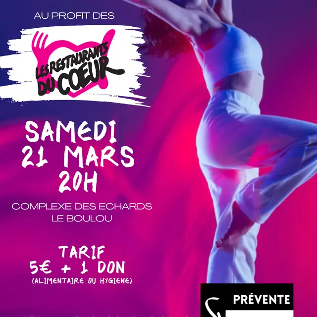 Gala du Coeur 2026 - 1