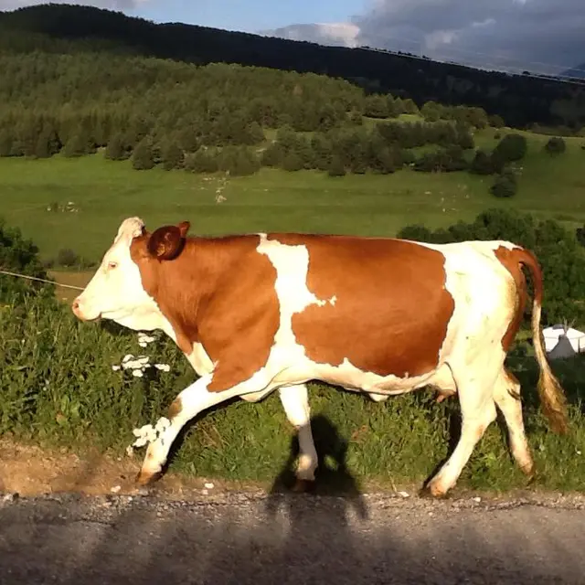 10570354_439574192851820_3003857709423162550_n