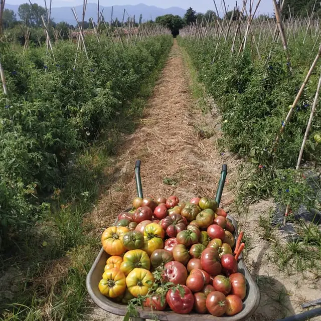 117230079_1643487045810474_7001601155514424629_n