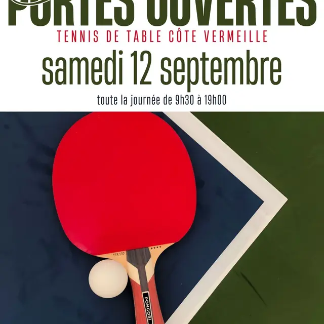 12-08_affiche_JPO_ping