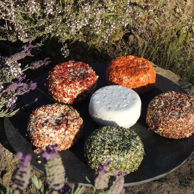 Différents crottins de chèvre