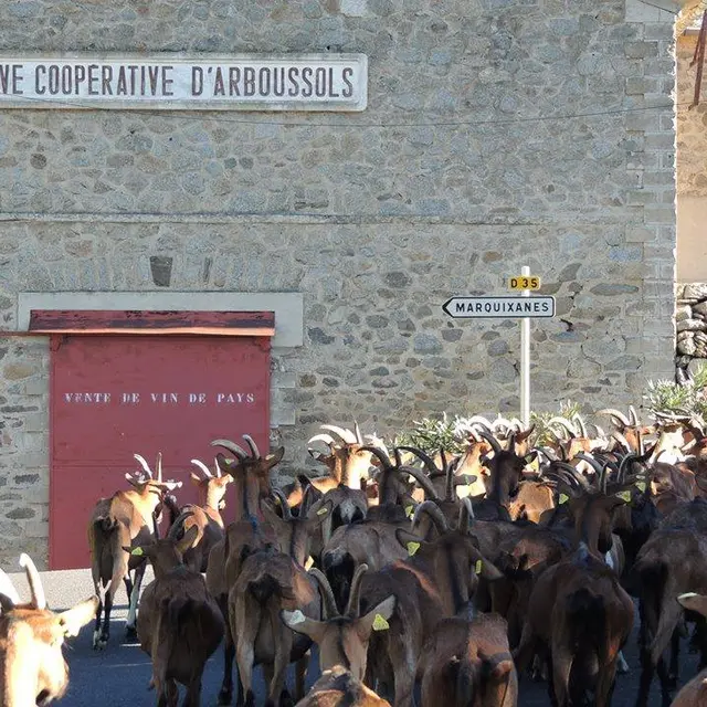 Balade à Marquixanes