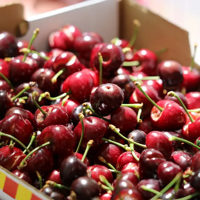 fête de la cerise 2026 - céret