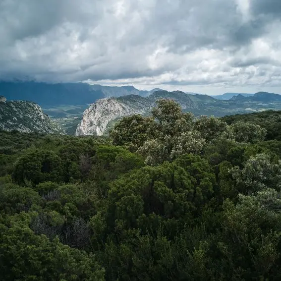 Vue sur le Fenouillèdes_1