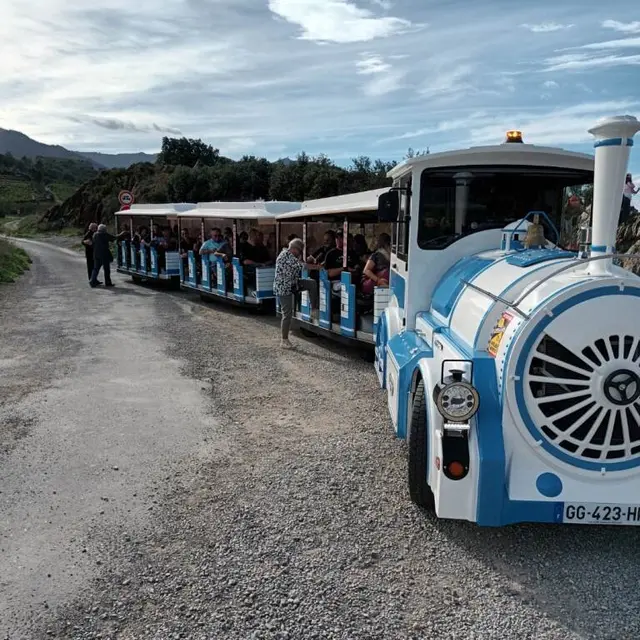 petit-train-collioure