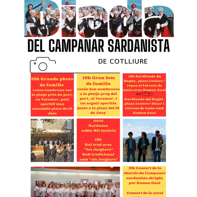 Diada catalana