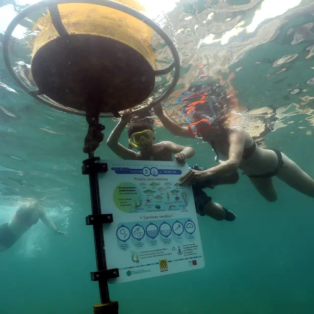 CERBERE SENTIER SOUS MARIN