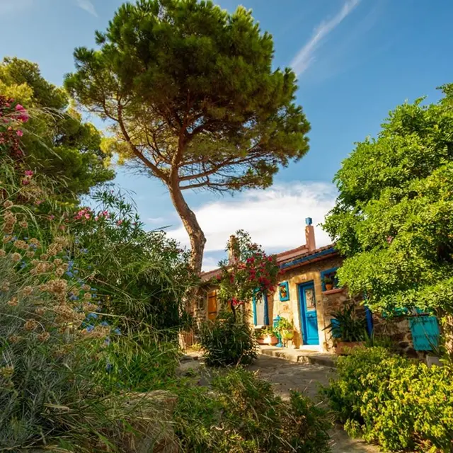 2023-collioure-insolite