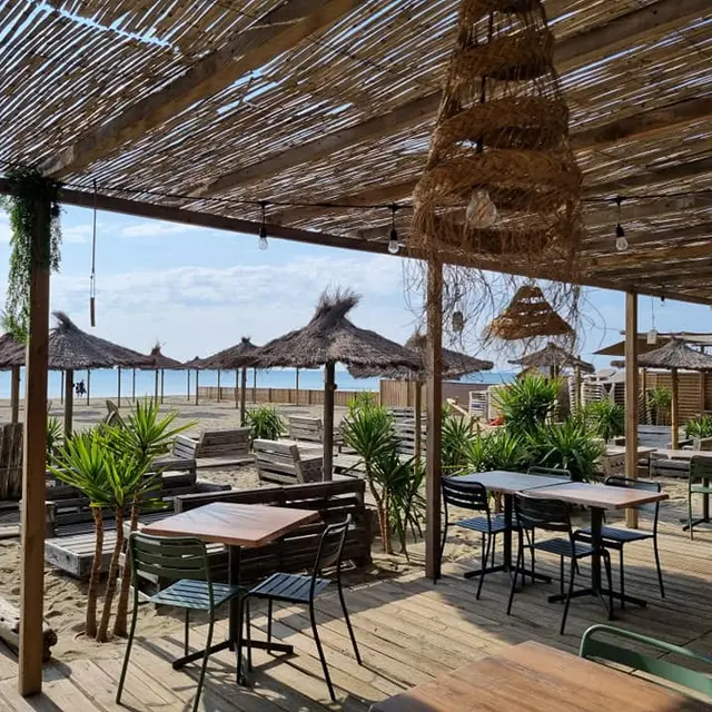 347228193-1609233546239687-8358448140813805109-n