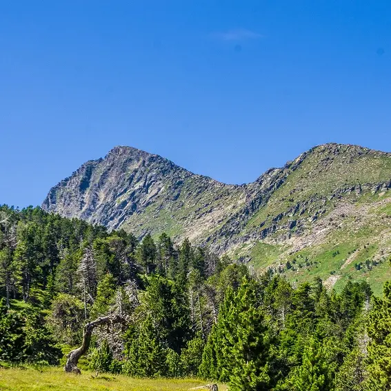 En arrivant au pied du Canigó_1