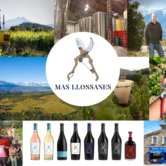 thumbnail_collage photo llossanes 2025