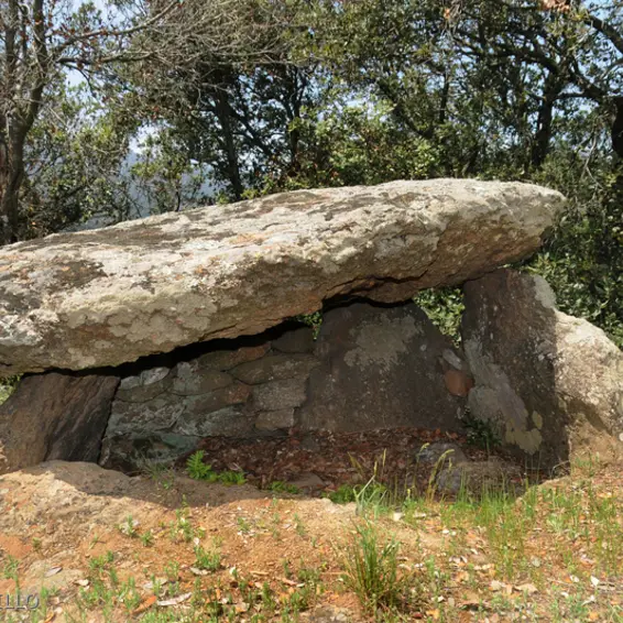 trilla_dolmen