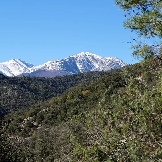 Vue sur le massif du Canigó_1