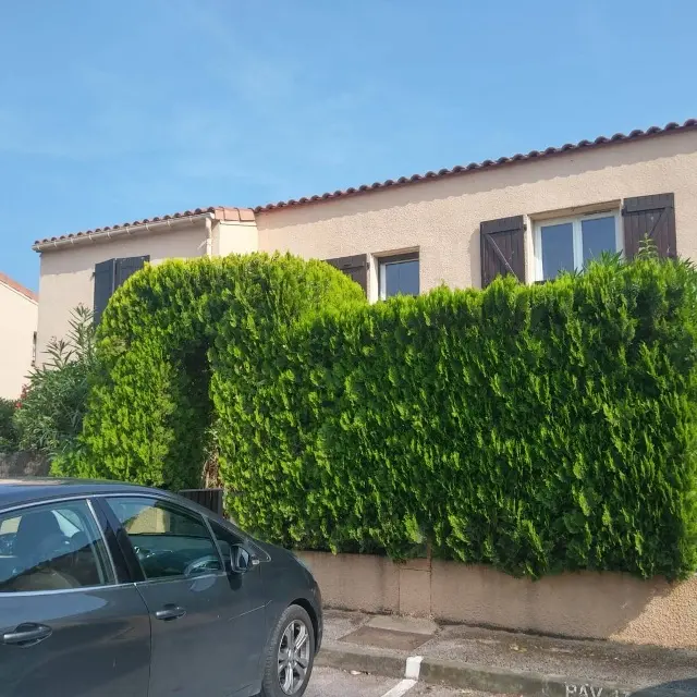 vignal1