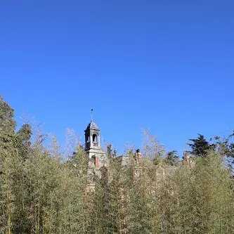 Vue sur la Villa Palauda_1