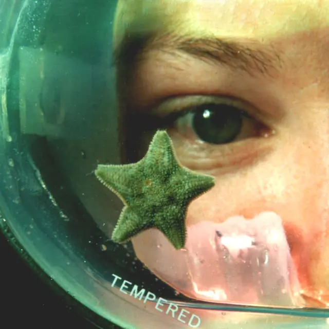 CENTRE DE PLONGEE LE POULPE