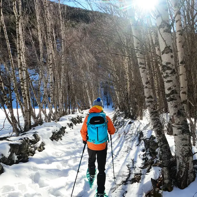 Activités - hiver  raquettes Porté-Puymorens 2 ©Pyrénées-Cerdagne