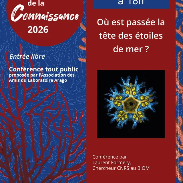 Affiche-FORMERY_040326